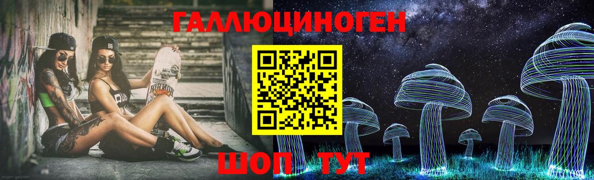 как найти закладки  Галлюциногенные грибы мицелий  Благодарный  Вход с VPN  Галлюциногенные грибы Psilocybe 